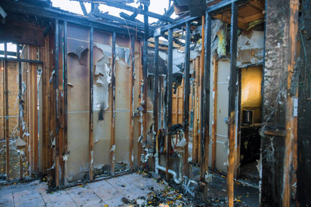 Professional Fire Damage Removal technician working in Basehor, KS
